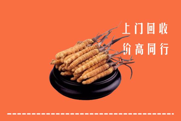 高价求购：宿州回收散虫草