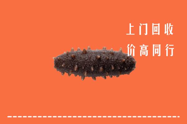 高价求购：宿州回收海参