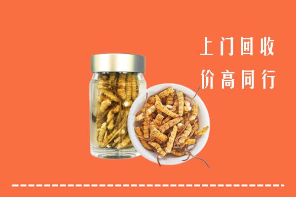 宿州回收冬虫夏草